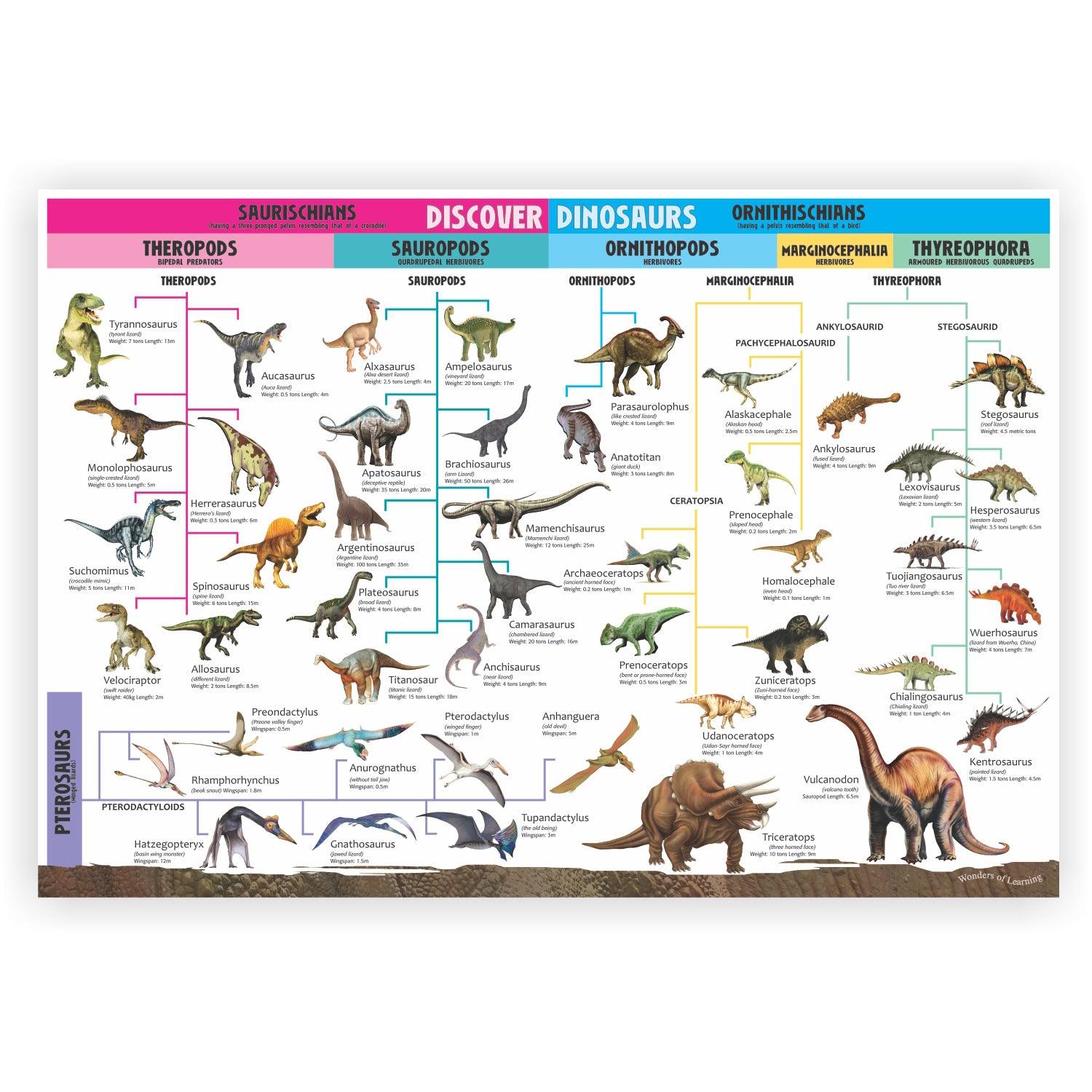 Wonders of Learning Tin Set, Discover Dinosaurs - Loomini