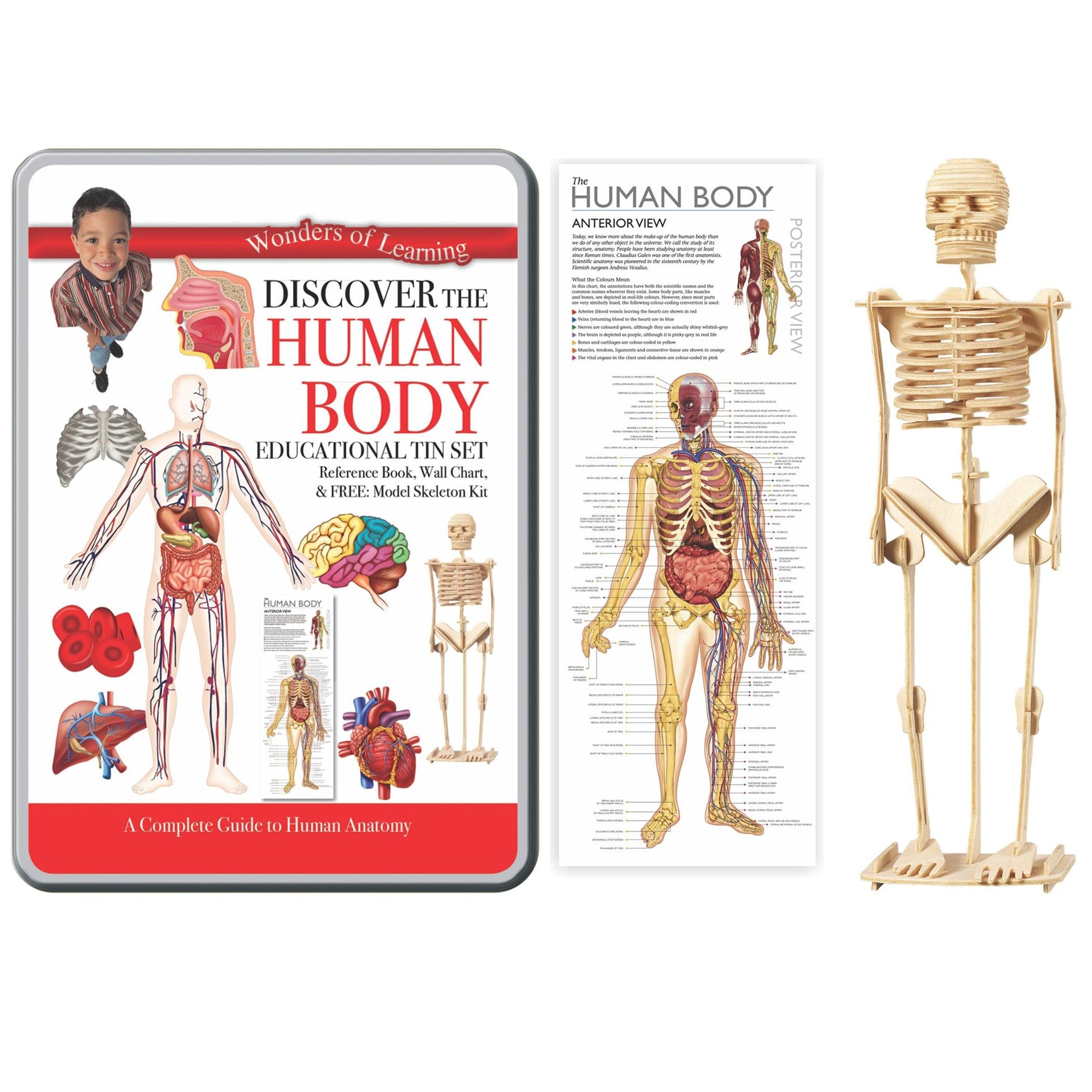 Wonders of Learning Tin Set, Discover the Human Body - Loomini