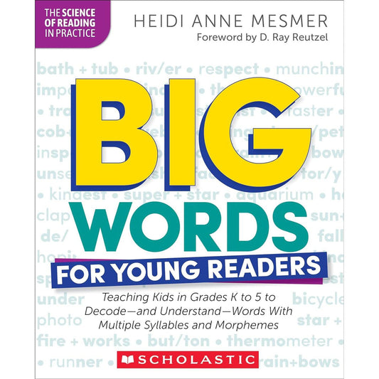 Big Words for Young Readers Professional Book - Loomini