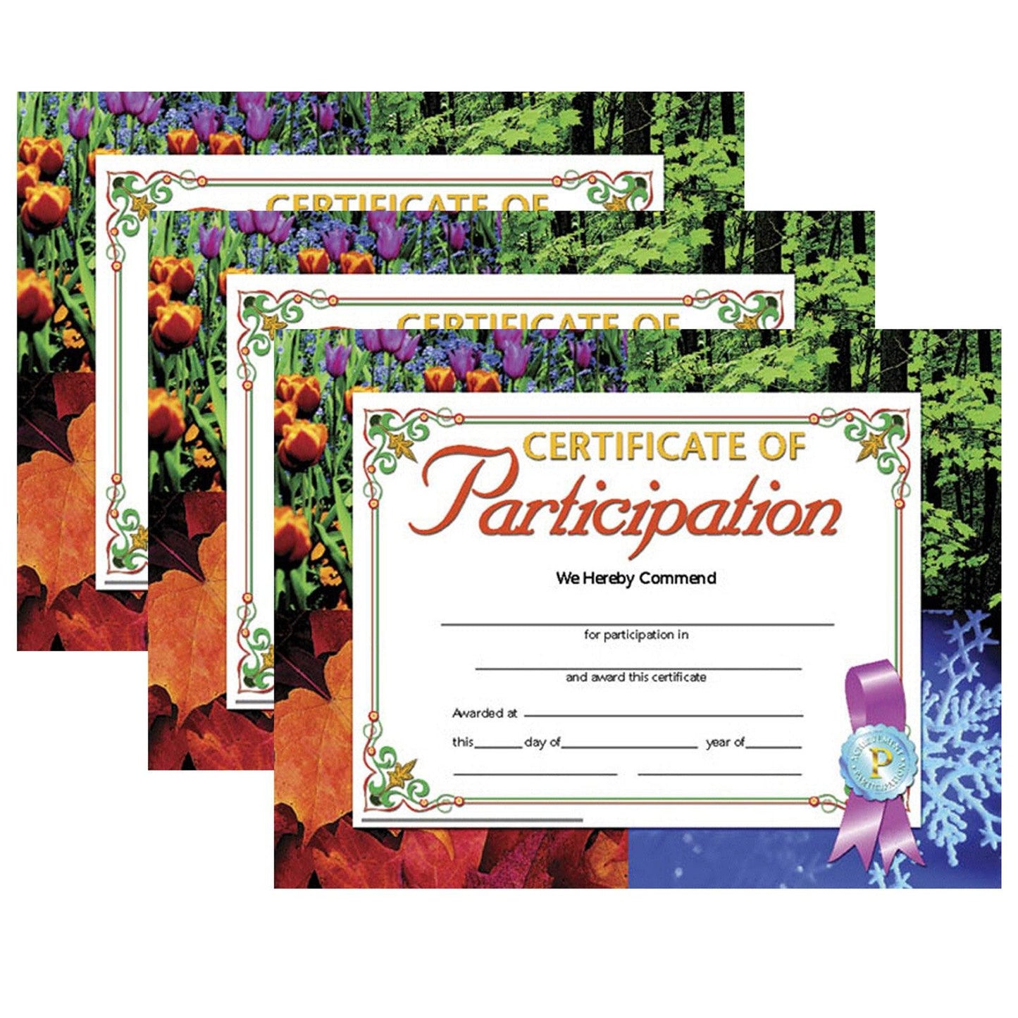 Certificate of Participation, 8.5" x 11", 30 Per Pack, 3 Packs - Loomini