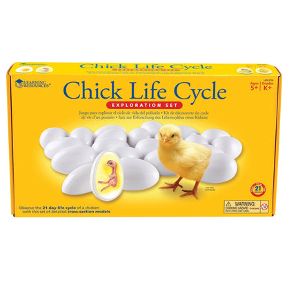 Chick Life Cycle Exploration Set - Loomini