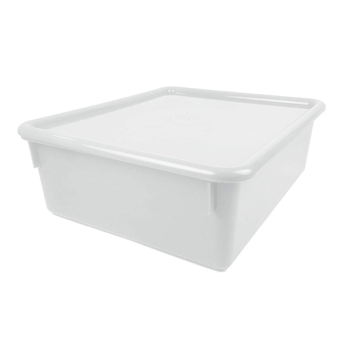 Double Stowaway® Tray with Lid, Clear - Loomini