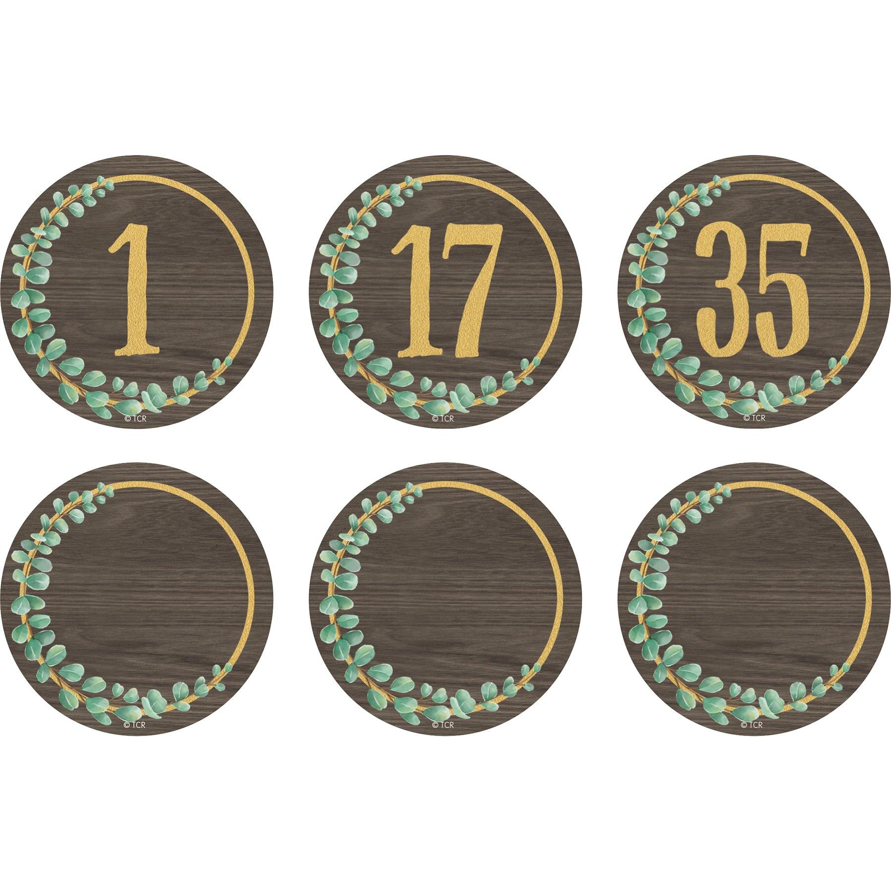 Eucalyptus Numbers Magnetic Accents, 2-1/4", 42 Per Pack, 3 Packs - Loomini