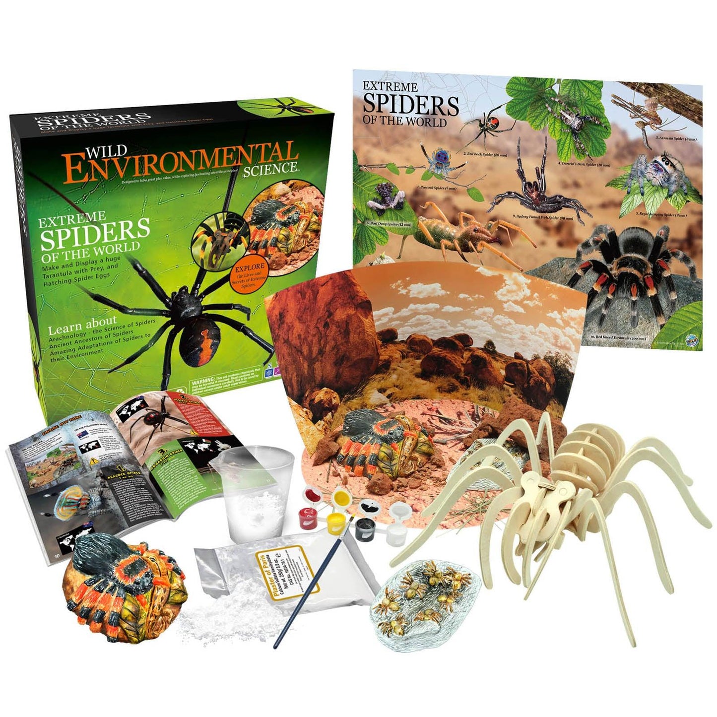 Extreme Spiders of the World - For Ages 6+ - Create and Customize Models and Dioramas - Study the Most Extreme Animals - Loomini