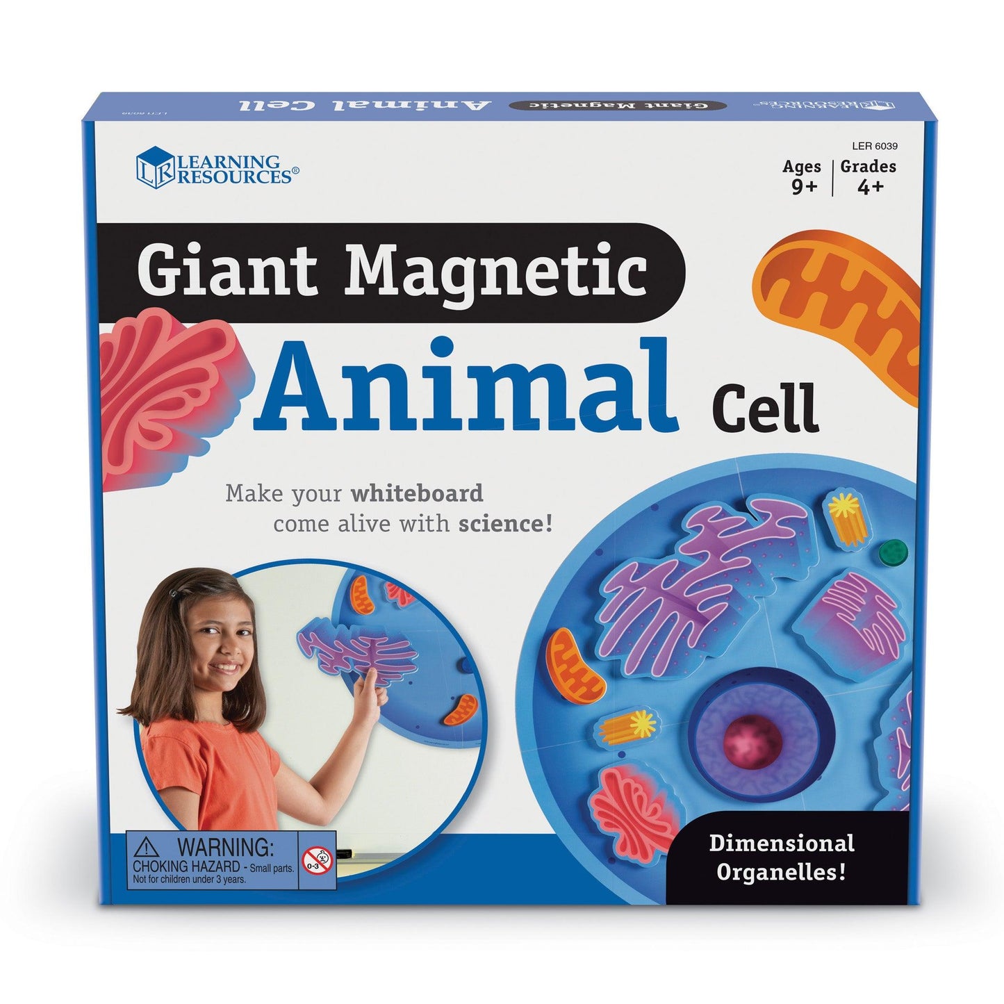 Giant Magnetic Animal Cells - Loomini