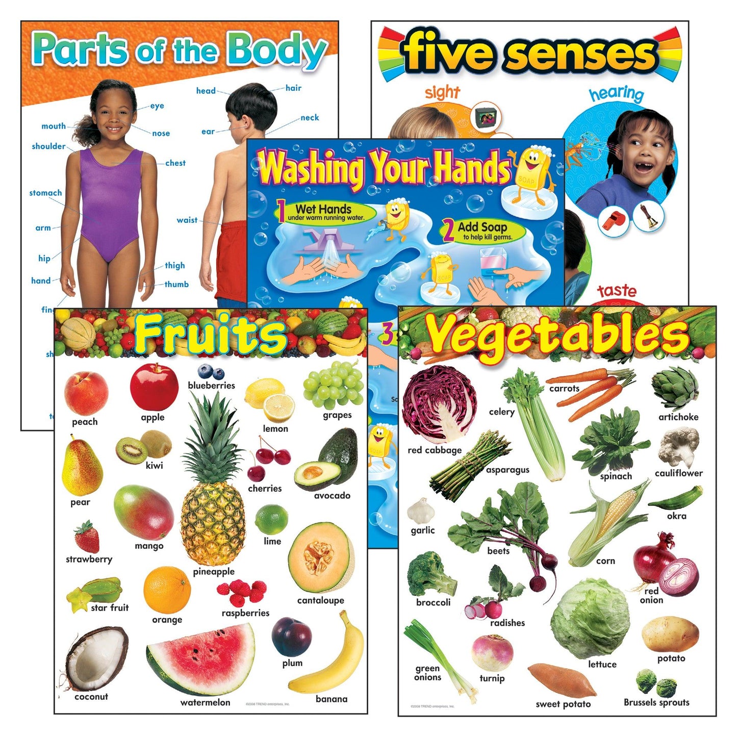 Healthy Living Learning Charts Combo Pack, Set of 5 - Loomini