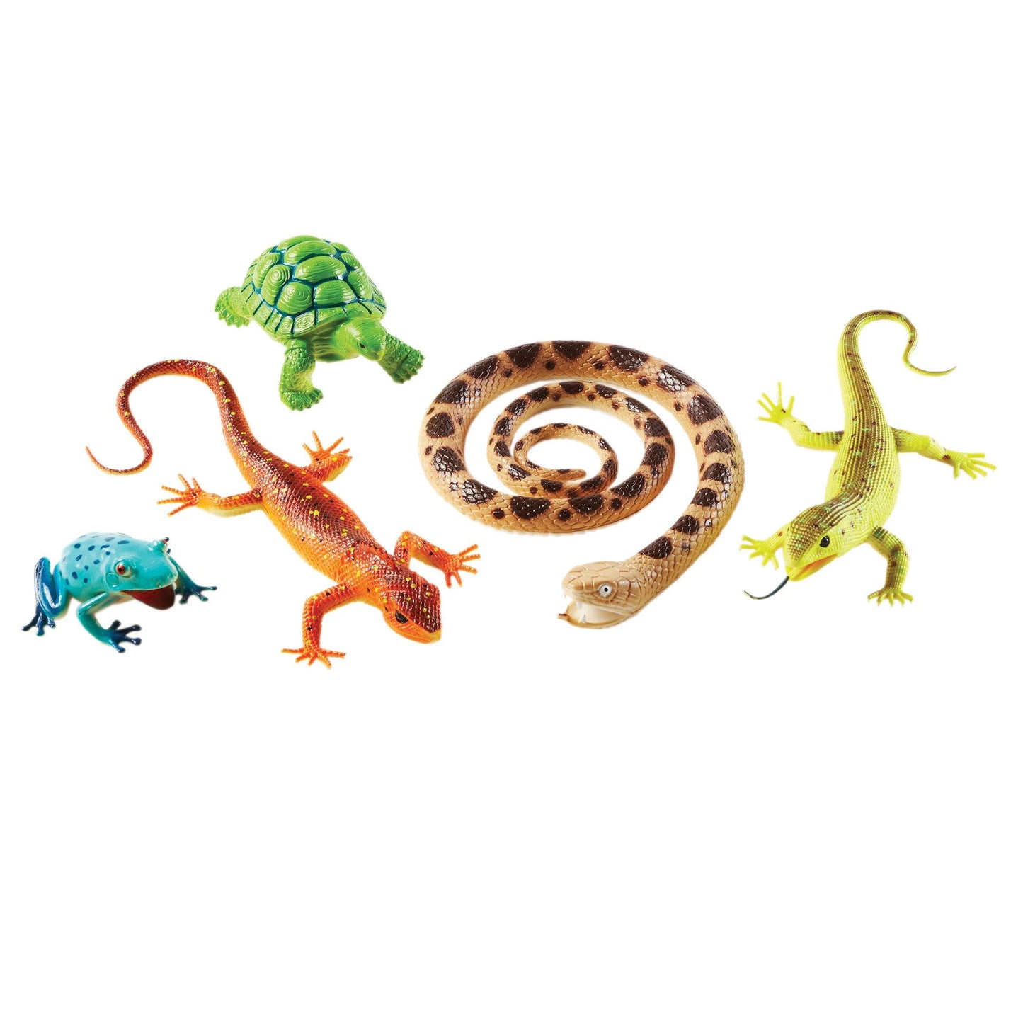 Jumbo Reptiles & Amphibians, Set of 5 - Loomini