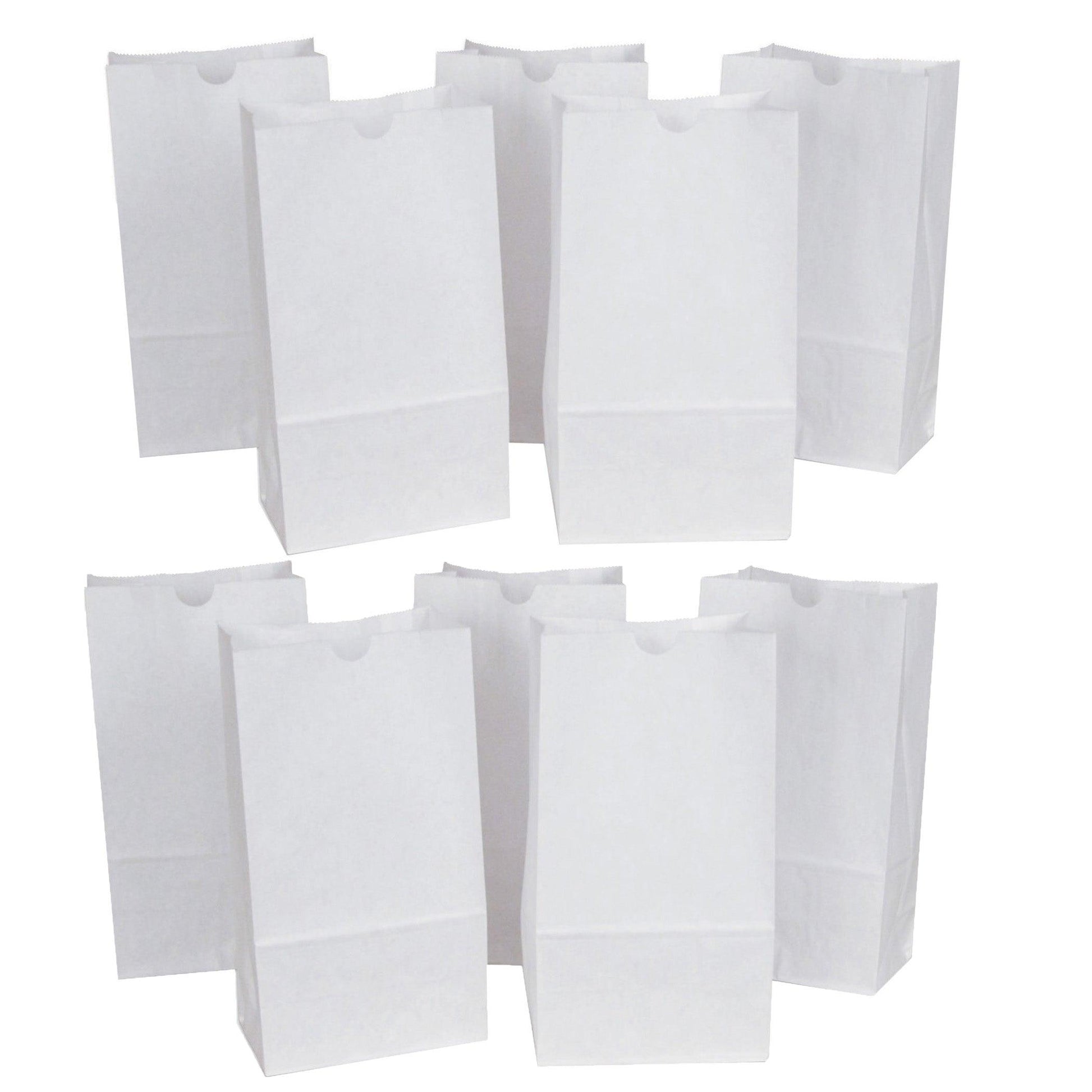 Kraft Bag, White, 6" x 3-5/8" x 11", 50 Per Pack, 2 Packs - Loomini