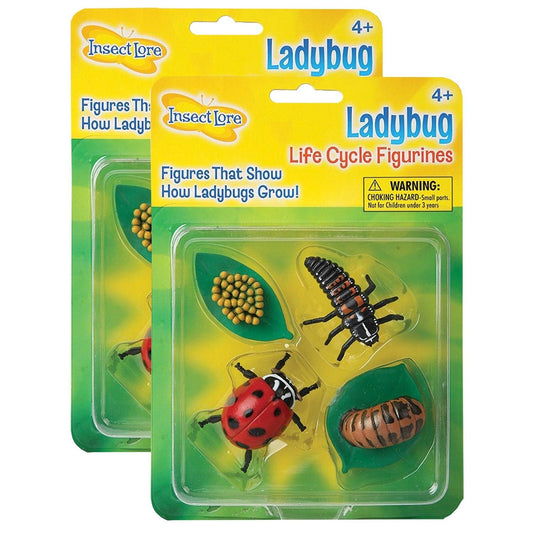 Ladybug Life Cycle Stages, 4 Per Set, 2 Sets - Loomini