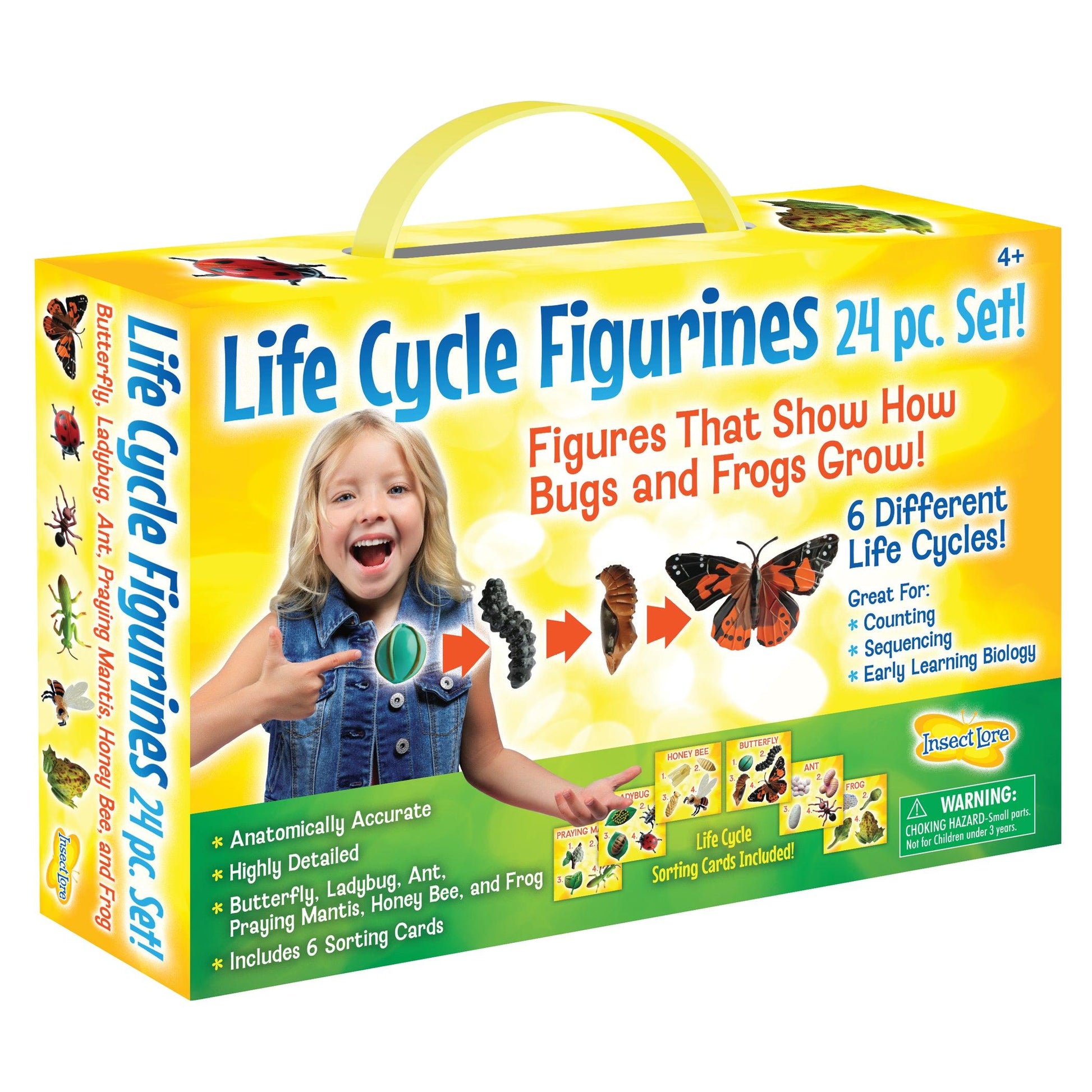 Life Cycle Figurines Set, 24 Pieces - Loomini