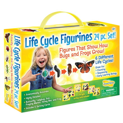 Life Cycle Figurines Set, 24 Pieces - Loomini