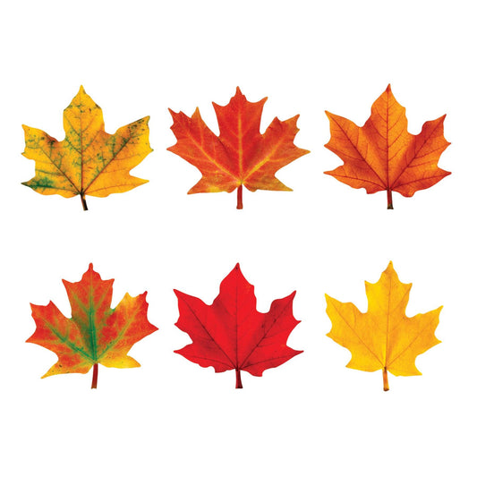 Maple Leaves Mini Accents Variety Pack, 36 Per Pack, 6 Packs - Loomini