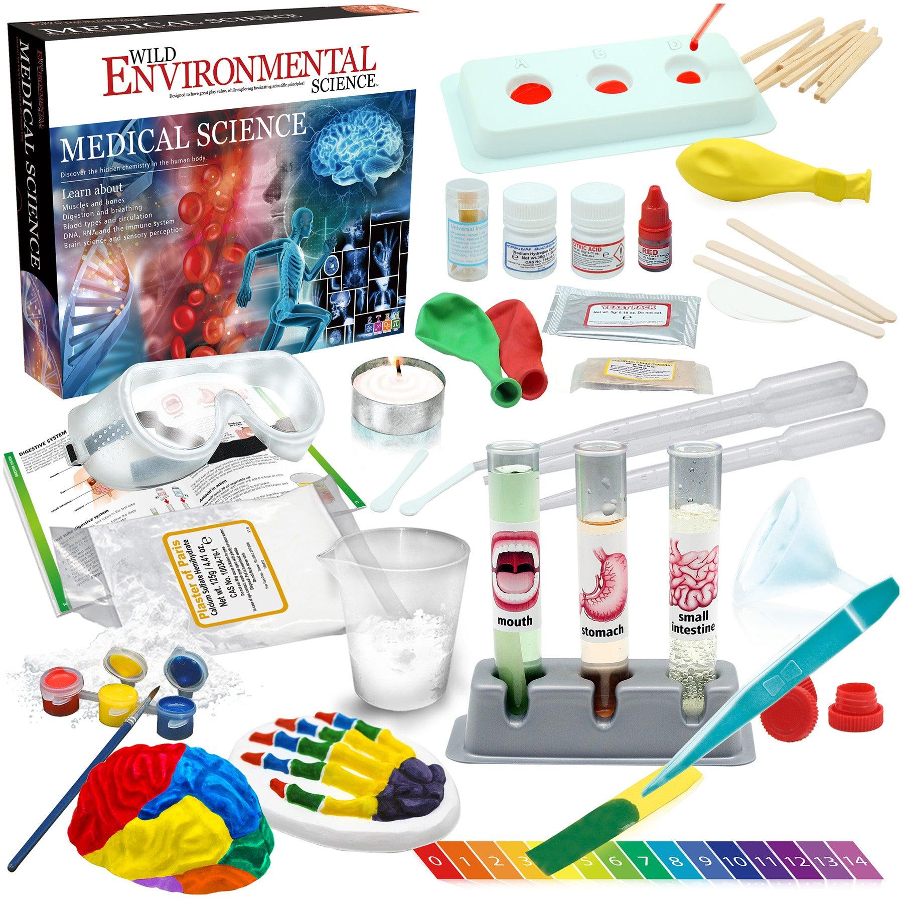 Medical Science - STEM Kit for Ages 8+ - Make a Test-Tube Digestive System, Extract DNA, Create Anatomical Models and More! - Loomini