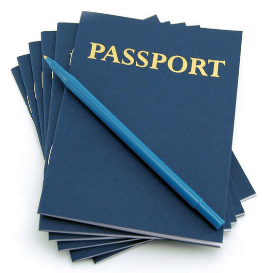 My Passport Books, Pack of 24 - Loomini