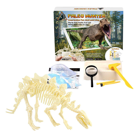Paleo Hunter™ Dig Kit for STEAM Education - Stegosaurus - Loomini