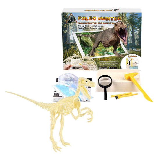 Paleo Hunter™ Dig Kit for STEAM Education - Velociraptor Rex - Loomini