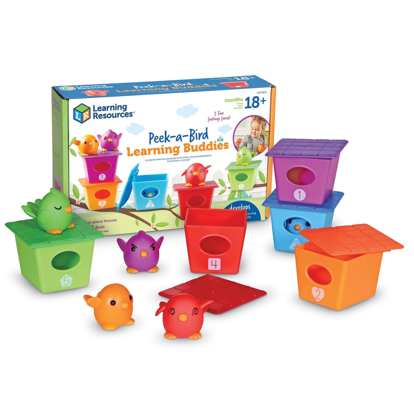 Peek-a-Bird Learning Buddies - Loomini