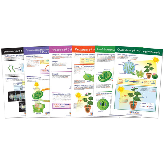 Photosynthesis Bulletin Board Chart Set, Grades 3-5 - Loomini