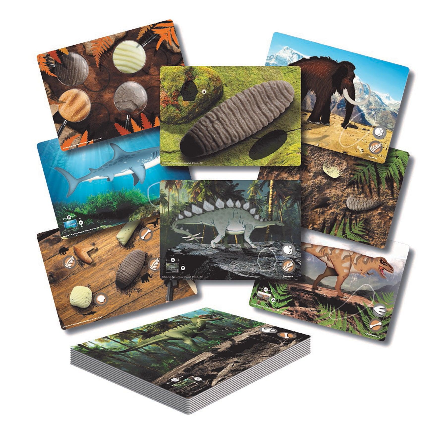 Prehistoric Teeth – Explore and Discover Activity Cards, Set of 16 - Loomini