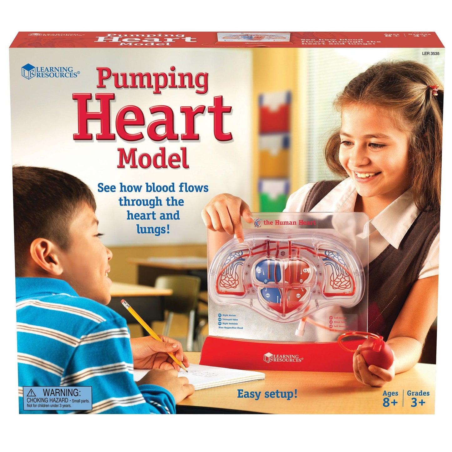 Pumping Heart Model - Loomini