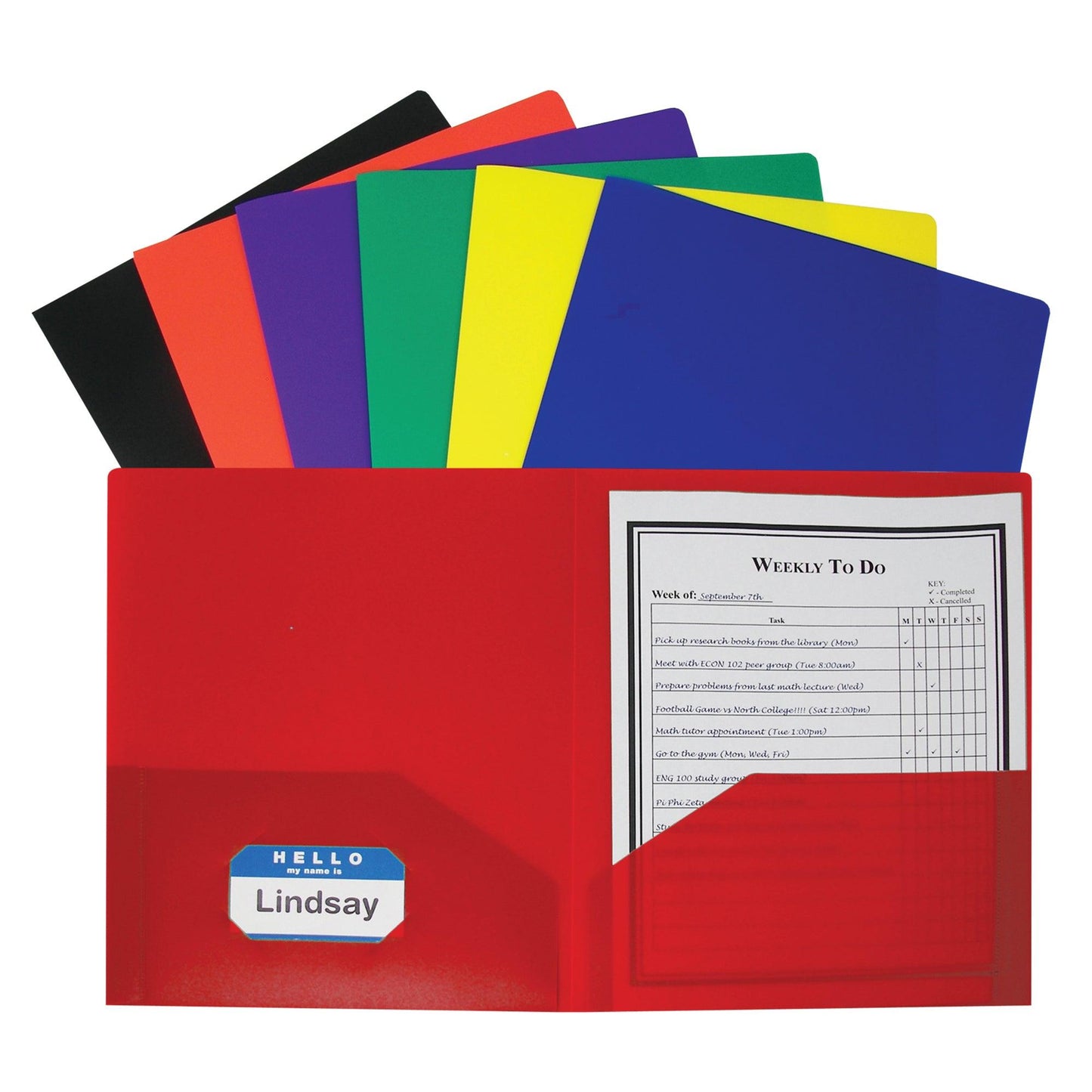 Two-Pocket Heavyweight Poly Portfolio Folder, Assorted Primary Colors, Pack of 36 - Loomini